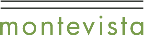 The image shows the word "montevisi" in green text.